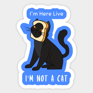 I'm Here Live, I'm Not A Cat Sticker